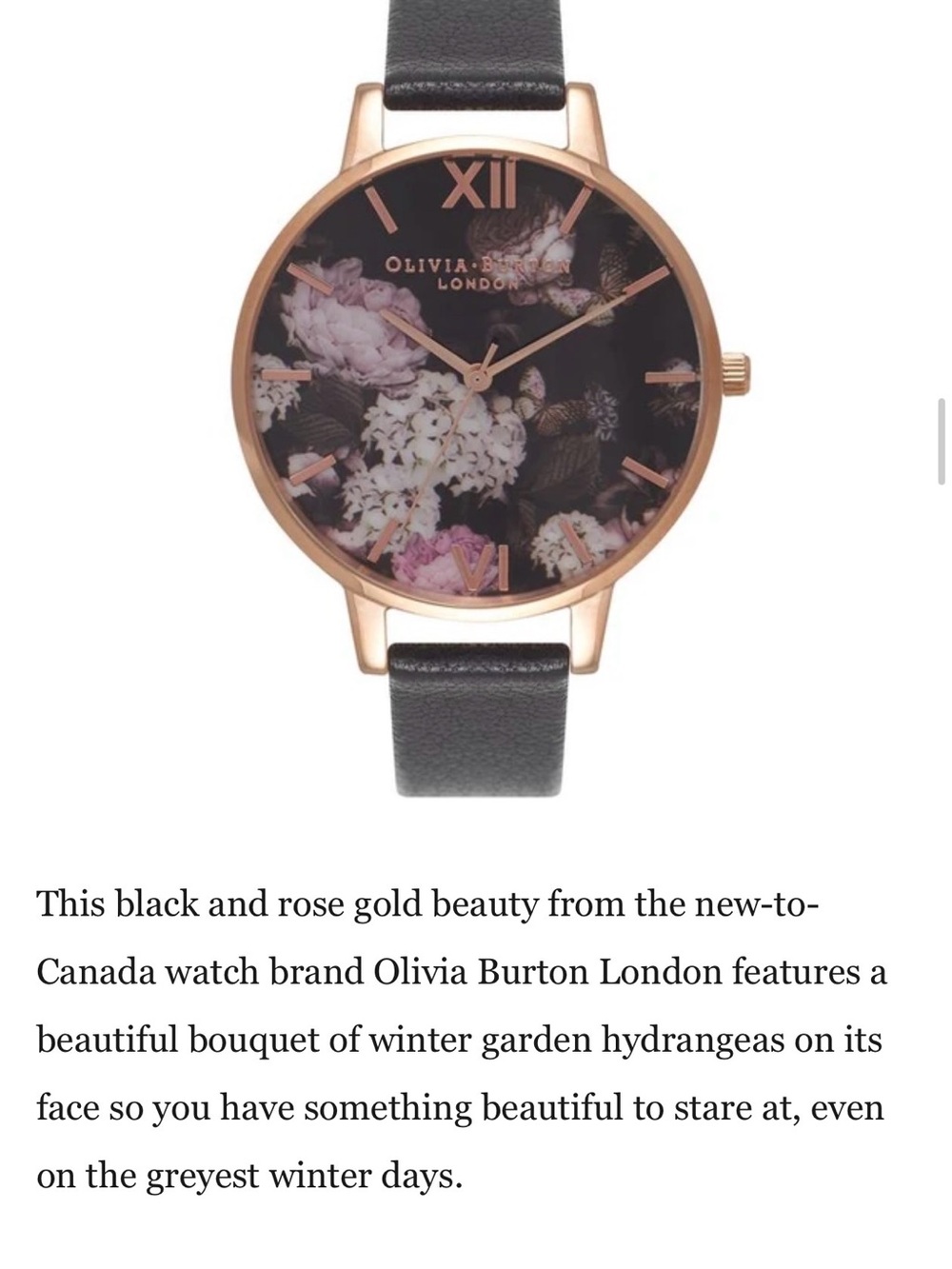 Olivia Burton London Hydrangeas Black Watch